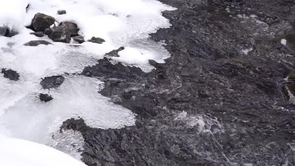 Zpomalený Pohyb Zblízka Vody Tekoucí Pod Ledem Studená Zima — Stock video