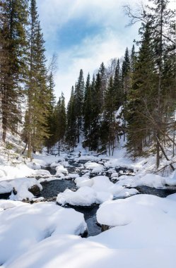 Winter forest river landscape. Snowy winter forest river scene.