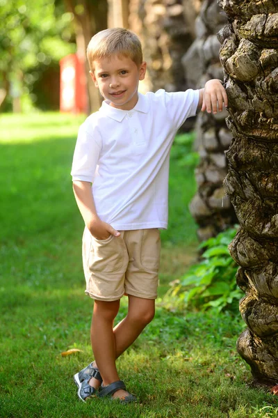 Porträt Eines Kleinen Lächelnden Jungen Der Natur Park Oder Freien — Stockfoto