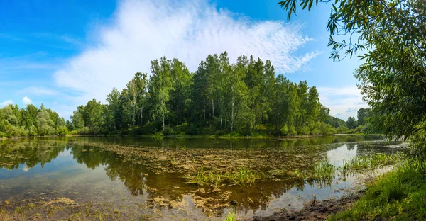 Pond under blue sky — Stock Photo, Image