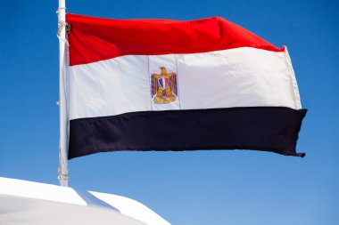 Waved Egyptian flag