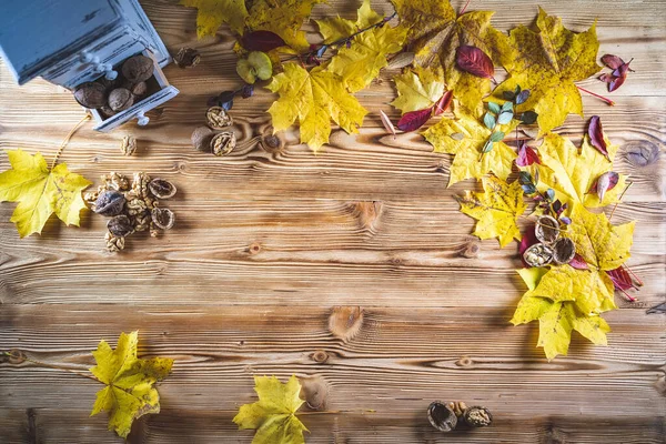 Sarı akçaağaç yapraklı ve cevizli ahşap masa tahtasında sonbahar arkaplanının canlı renkleri üst görünüm