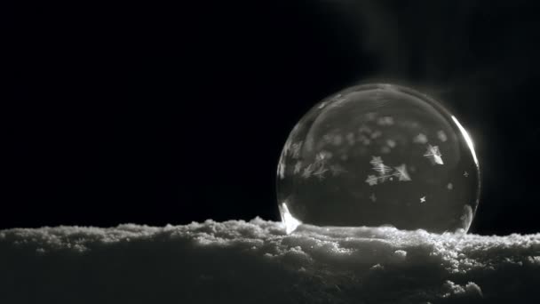 Buz kristali yavaşça donuyor — Stok video