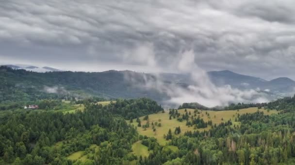 Nuvens cinzentas dramáticas sobre a paisagem verde floresta aérea — Vídeo de Stock