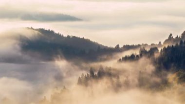 Orman manzarasında mistik bulutlar Zaman geçişi