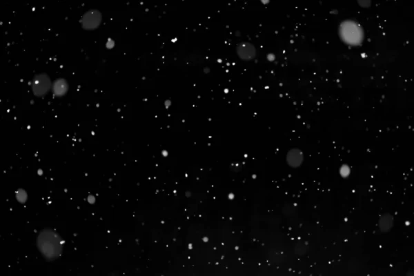 Echte Sneeuw Zwarte Achtergrond Het Sneeuwt Mix Laag Voor Scherm Rechtenvrije Stockfoto's