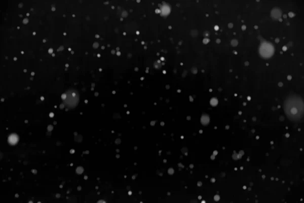 Neve Reale Sfondo Nero Sta Nevicando Fondono Strato Schermo Aggiungere Immagini Stock Royalty Free