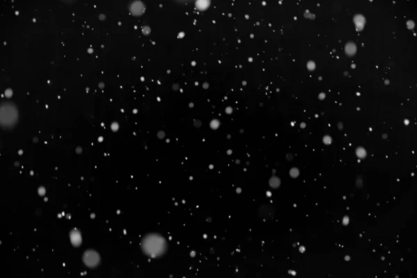 Real Snow Black Background Snowing Blend Layer Screen Add Royalty Free Stock Photos