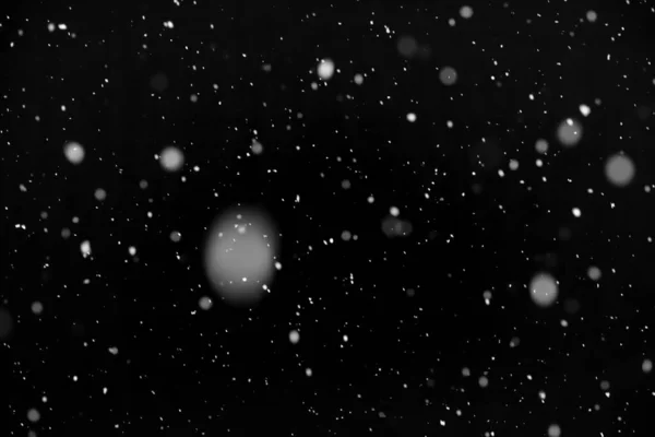 Neve Reale Sfondo Nero Sta Nevicando Fondono Strato Schermo Aggiungere Immagine Stock
