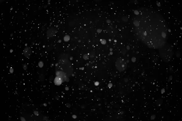 Real Snow Black Background Snowing Blend Layer Screen Add Stock Photo