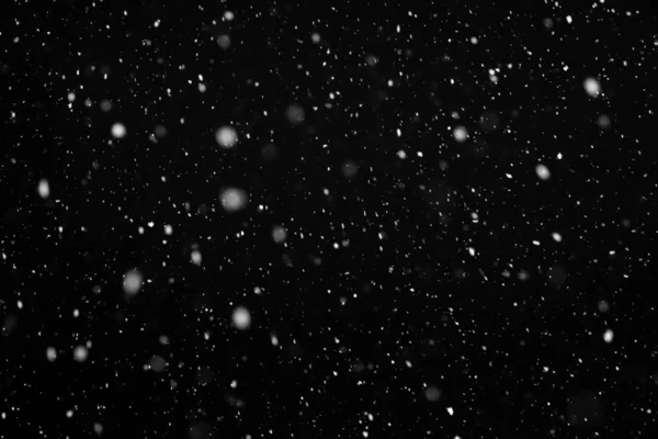 Echte Sneeuw Zwarte Achtergrond Het Sneeuwt Mix Laag Voor Scherm Rechtenvrije Stockafbeeldingen