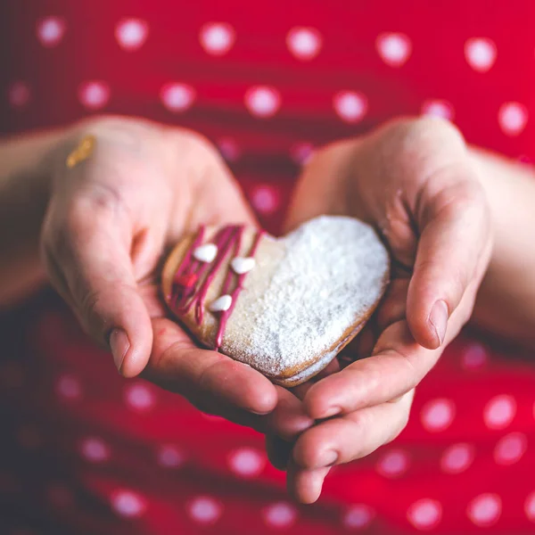 Woman Red Shirt Hold Sweet Heart Cake Her Hands Royalty Free Stock Images