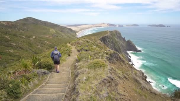 Hombres es senderismo en Nueva Zelanda océano costa paisaje — Vídeo de stock