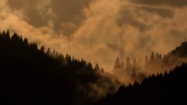 Dramatic fast clouds over forest silhouette Time lapse — Stock Video