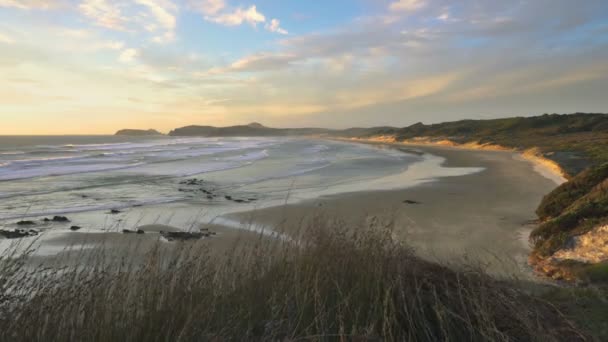 Lugn kväll i Nya Zeelands havsstrand vid solnedgången — Stockvideo