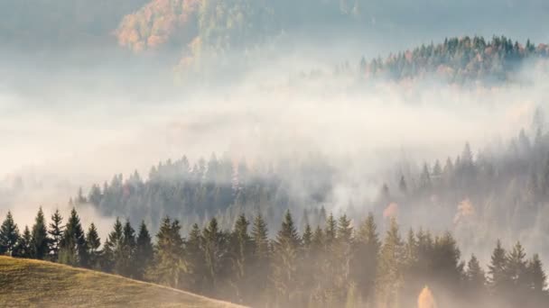 秋の風景の中で森林火災煙時間経過 — ストック動画