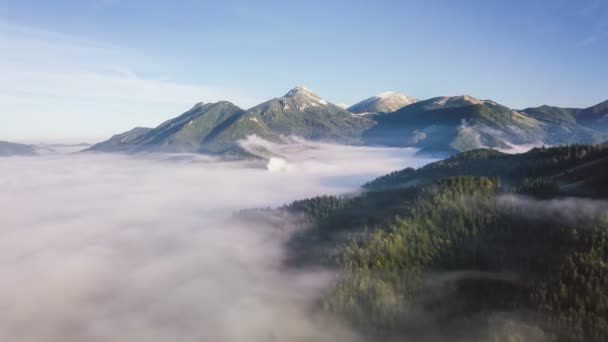 Repülj a ködös erdei hegyek felett Hiperhanyatlás — Stock videók
