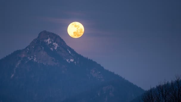 Полная луна падает над лесными горами — стоковое видео