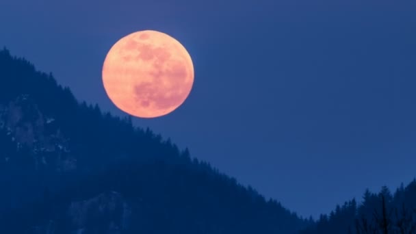 Luna llena roja se pone sobre las montañas del bosque en azul invierno noche naturaleza Time lapse — Vídeos de Stock