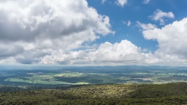 Yeni Zelanda 'da mavi gökyüzünde beyaz bulutlu yeşil güneşli doğa manzarası — Stok video