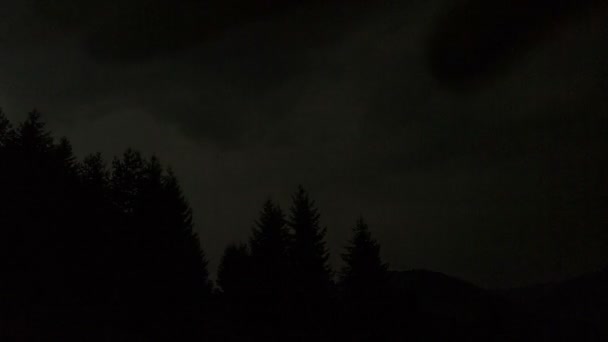 Dramática tormenta y relámpago sobre el paisaje de la naturaleza del bosque en la noche oscura de verano Time lapse — Vídeos de Stock