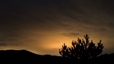 Yıldızlı gökyüzünde hızlı bulutlar, karanlık bir gecede yıldızlar, orman dağları üzerinde doğa manzarası, zaman akıp gidiyor.