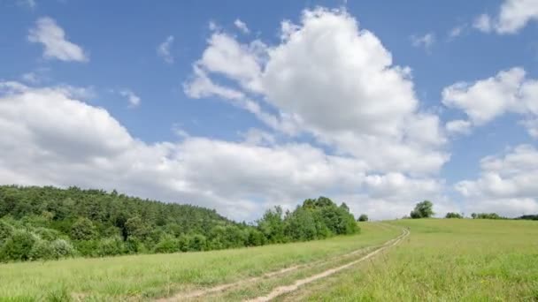 Clouds sky over green countryside with gravel road in sunny summer nature Time lapse — Stock Video