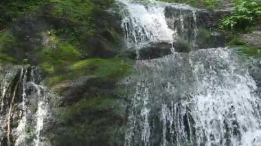 Bereketli yeşil bir ormanda yosunlu kayaların üzerinde çağlayan sakin küçük şelale. Temiz su yavaş çekimde yavaşça akar, vahşi doğada barışçıl bir doğal zemin ve sakin bir atmosfer yaratır..