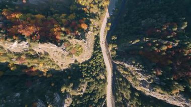 Renkli sonbahar ormanlarıyla çevrili kıvrımlı bir dağ yolunun havadan kuş görüntüsü. Altın yapraklar, kayalık kayalıklar ve güneş ışığı seyahat, macera ve keşif için mükemmel bir manzara yaratır..