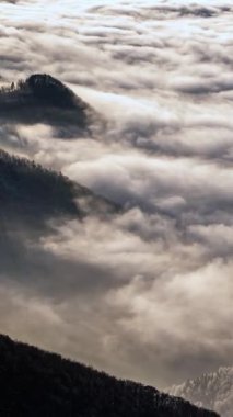 Büyülü bir sabahta ormanlık bir dağ vadisinde sisli ve sisli bulutların dikey zaman atlaması. Huzurlu ve atmosferik doğa sahnesi doğal ve seyahat projeleri için mükemmel