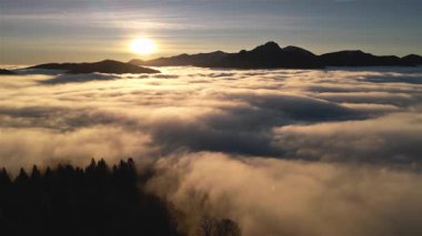 Altın gün doğumunda sisli dağ vadilerinde yuva yapmış sisli bir ormanın üzerinde huzurlu bir uçuş. Sakin ve sakin bir sabah. Yumuşak bir sis tabakası sürükleniyor. Huzurlu ve sakin bir doğal manzara yaratıyor..