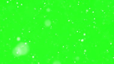 Gerçek kar, yeşil ekran arka planına nazikçe düşüyor. Krom anahtar kullanımı için ideal. Barışçıl kış kar yağışı kompozitasyon, görsel efektler ve mevsimsel projeler için mükemmel bir kaplama..