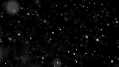 Nazik, yumuşak kar taneleri yavaşça siyah zemine düşüyor. Video efektleri için mükemmel bir kış karı örtüsü, sakin ve sakin bir kar yağışı atmosferi yaratıyor..