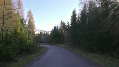 Güneşli bir sabahta sisli bir sonbahar ormanına çıkan dolambaçlı bir kır yolu. Sisin içinden geçen yumuşak güneş ışınları, rengarenk düşüşlerle çevrili bir dağ geçidinde huzurlu bir yolculuk sahnesi yaratıyor.