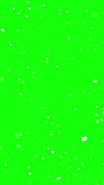 Yeşil ekran arka planına düşen gerçek kar tanelerinin dikey videosu. Temiz kış havası birleşim, görsel efektler ve atmosferik kar yağışı sahneleri için ideal..