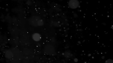 Gerçek kar taneleri, temiz, siyah bir zemine yavaşça düşer. Yumuşak bir kar yağışı oluşturur. Birleşim, festival sahneleri ve sinematik kış görselleri için ideal atmosferik hava efekti.