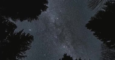 Astronomi zaman çizelgesi yıldızlarla dolu bir gece gökyüzünde karanlık orman ağacı siluetlerinin arasından yukarıya doğru bakıyor. Samanyolu Galaksisi parlayan yıldızlarla başımızın üzerinde döner ve derin, huzurlu bir evren yaratır.