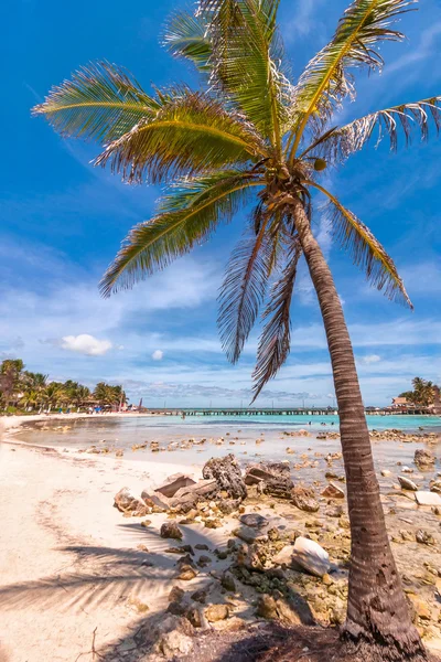 Tropische zee en playa del norte op het strand in isla mujeres — Stockfoto