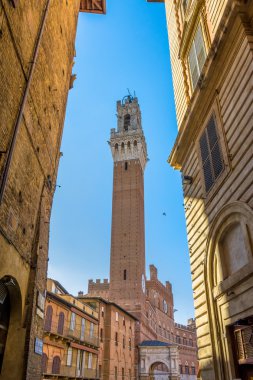 Via Campo Meydanı ve Mangia Tower, Siena, İtalya