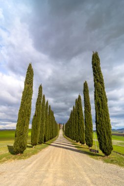 Selvi sokak yakınındaki Pienza, Val d'Orcia, İtalya ile manzara pastoral Tuscan