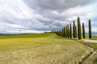 Selvi sokak yakınındaki Pienza, Val d'Orcia, İtalya ile manzara pastoral Tuscan