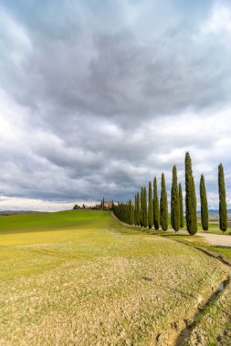 Selvi sokak yakınındaki Pienza, Val d'Orcia, İtalya ile manzara pastoral Tuscan