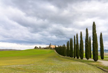 Selvi sokak yakınındaki Pienza, Val d'Orcia, İtalya ile manzara pastoral Tuscan