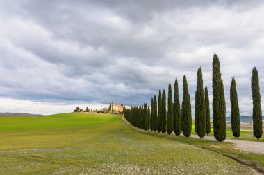 Selvi sokak yakınındaki Pienza, Val d'Orcia, İtalya ile manzara pastoral Tuscan