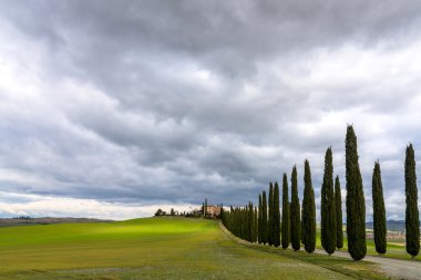 Selvi sokak yakınındaki Pienza, Val d'Orcia, İtalya ile manzara pastoral Tuscan
