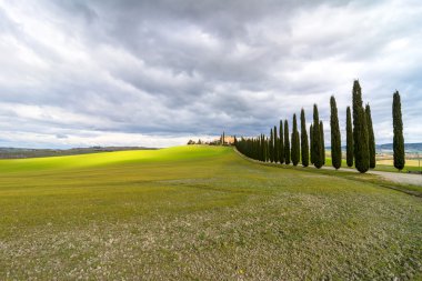 Selvi sokak yakınındaki Pienza, Val d'Orcia, İtalya ile manzara pastoral Tuscan