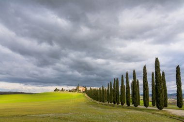 Selvi sokak yakınındaki Pienza, Val d'Orcia, İtalya ile manzara pastoral Tuscan