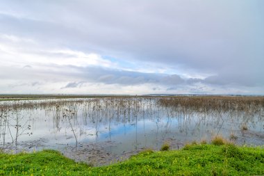 Trapani, İtalya'da Trapani ve Paceco doğa rezerv