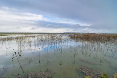 Trapani, İtalya'da Trapani ve Paceco doğa rezerv
