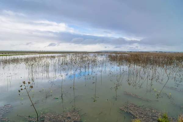 Trapani, İtalya'da Trapani ve Paceco doğa rezerv